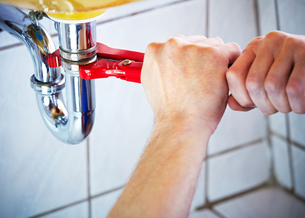 About Lily Plumbers