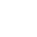 Lily Plumbers